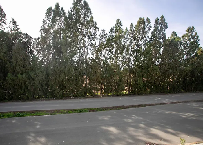 Palmove Renovated Meneou House * Lárnaca