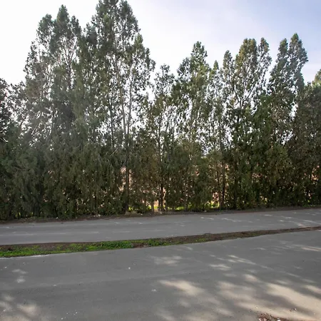 Palmove Renovated Meneou House * Λάρνακα